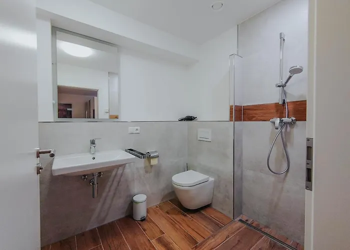 Downhill Apartment Tauplitz